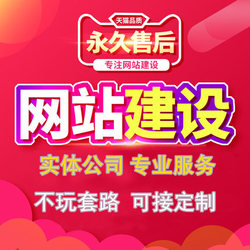 模板网站建设制作一条龙搭建网页设计手机网站代做公司企业官网